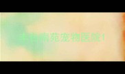 丰台南苑宠物医院