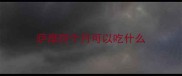 萨摩四个月可以吃什么