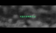 可爱的宠物英文名