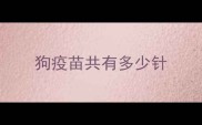狗疫苗共有多少针