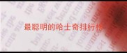 最聪明的哈士奇排行榜
