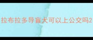拉布拉多导盲犬可以上公交吗