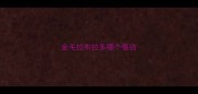 金毛拉布拉多哪个值钱
