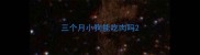 三个月小狗能吃肉吗