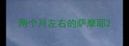 两个月左右的萨摩耶