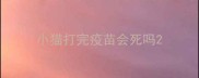 小猫打完疫苗会死吗