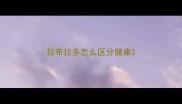 拉布拉多怎么区分健康