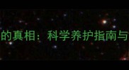 猫咪挠耳朵的真相科学养护指南与清洁误区全
