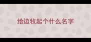 给边牧起个什么名字