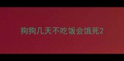 狗狗几天不吃饭会饿死