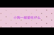 小狗一般爱吃什么