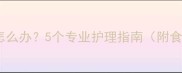 狗狗打完疫苗后食欲不振怎么办5个专业护理指南附食补食谱宠物医生建议