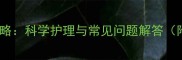 六个月泰迪换牙全攻略科学护理与常见问题解答附换牙期护理清单