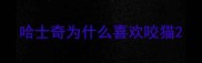 哈士奇为什么喜欢咬猫