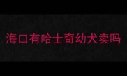 海口有哈士奇幼犬卖吗