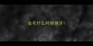 金毛什么时候换牙