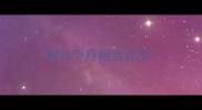 狗六个月相当几岁