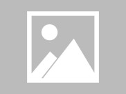 拉布拉多母狗体重管理的重要性及科学标准