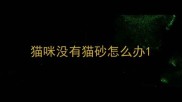 猫咪没有猫砂怎么办