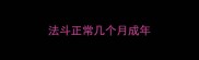 法斗正常几个月成年