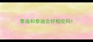 泰迪和泰迪会好相处吗