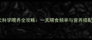 三个月大幼犬科学喂养全攻略一天喂食频率与营养搭配的黄金法则