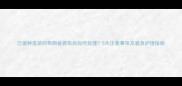 已接种疫苗的狗狗被抓伤后如何处理5大注意事项及紧急护理指南