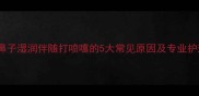 泰迪犬鼻子湿润伴随打喷嚏的5大常见原因及专业护理指南