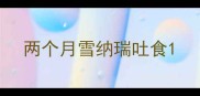 两个月雪纳瑞吐食