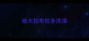 给大拉布拉多洗澡