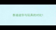 泰迪迷你与玩具的对比