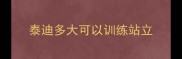 泰迪多大可以训练站立