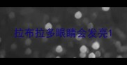 拉布拉多眼睛会发亮