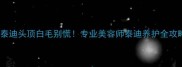 小泰迪头顶白毛别慌专业美容师泰迪养护全攻略