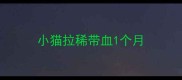 小猫拉稀带血1个月