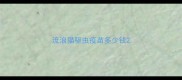 流浪猫驱虫疫苗多少钱