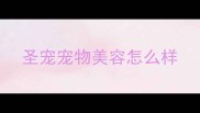 圣宠宠物美容怎么样