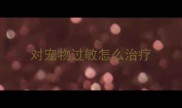 对宠物过敏怎么治疗