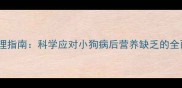 宠物健康护理指南科学应对小狗病后营养缺乏的全面解决方案