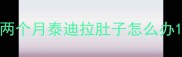 两个月泰迪拉肚子怎么办