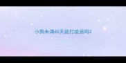 小狗未满45天能打疫苗吗