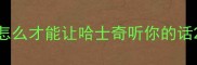 怎么才能让哈士奇听你的话
