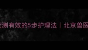 边牧鼻炎螨虫亲测有效的5步护理法北京兽医团队的干货攻略