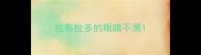 拉布拉多的眼睛不黑