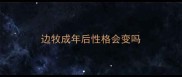 边牧成年后性格会变吗