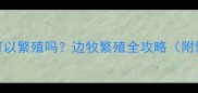 7个月边牧公可以繁殖吗边牧繁殖全攻略附健康检查清单