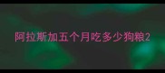 阿拉斯加五个月吃多少狗粮