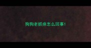 狗狗老抓痒怎么回事