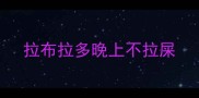 拉布拉多晚上不拉屎