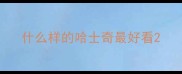 什么样的哈士奇最好看